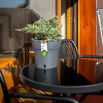 One Bedroom Pirin