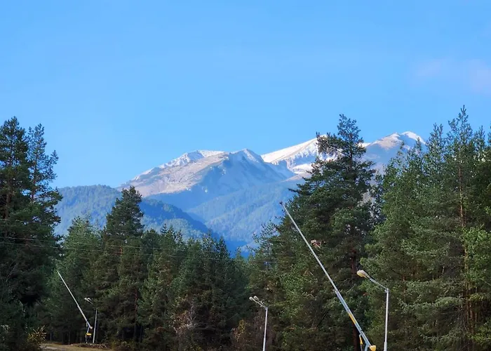 One Bedroom Pirin Apartment *