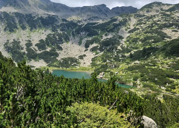 One Bedroom Pirin Apartment