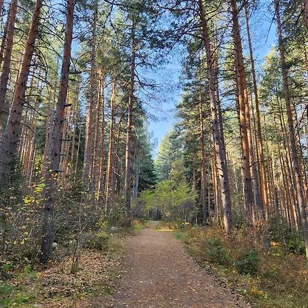 One Bedroom Pirin Апартамент Банско