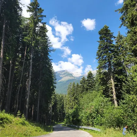 One Bedroom Pirin Апартамент *