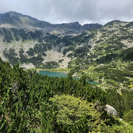 One Bedroom Pirin アパート