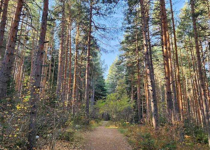 One Bedroom Pirin Apartment Bansko