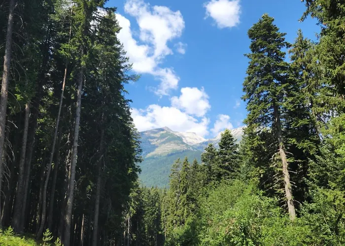 One Bedroom Pirin Apartment *